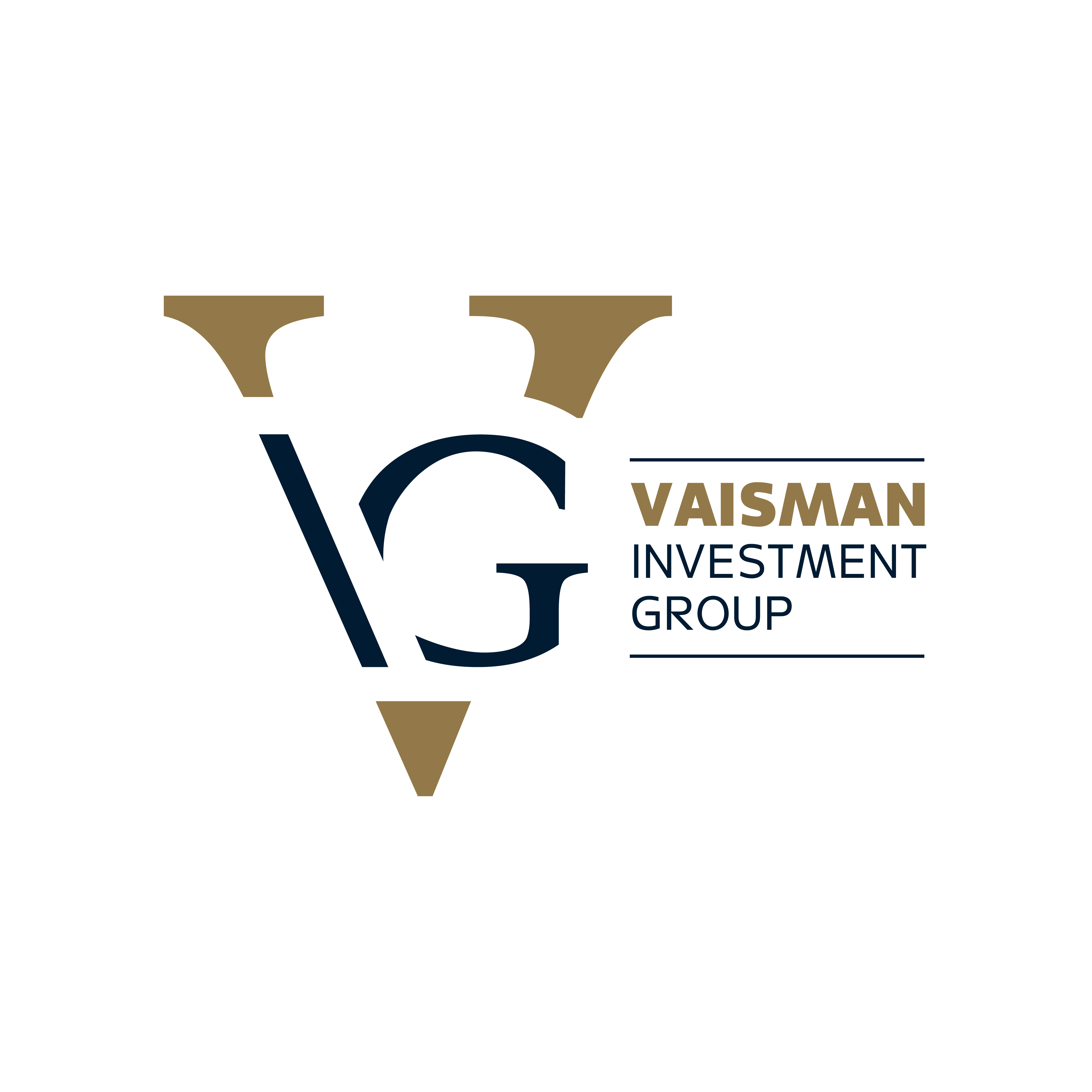 Vaisman Investment Group